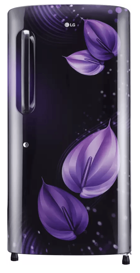 GL-B221APVY.DPVZEBN - (PURPLE VICTORIA)(205 LTRS)(8806091784193) - REF-DC - LG - 24865
